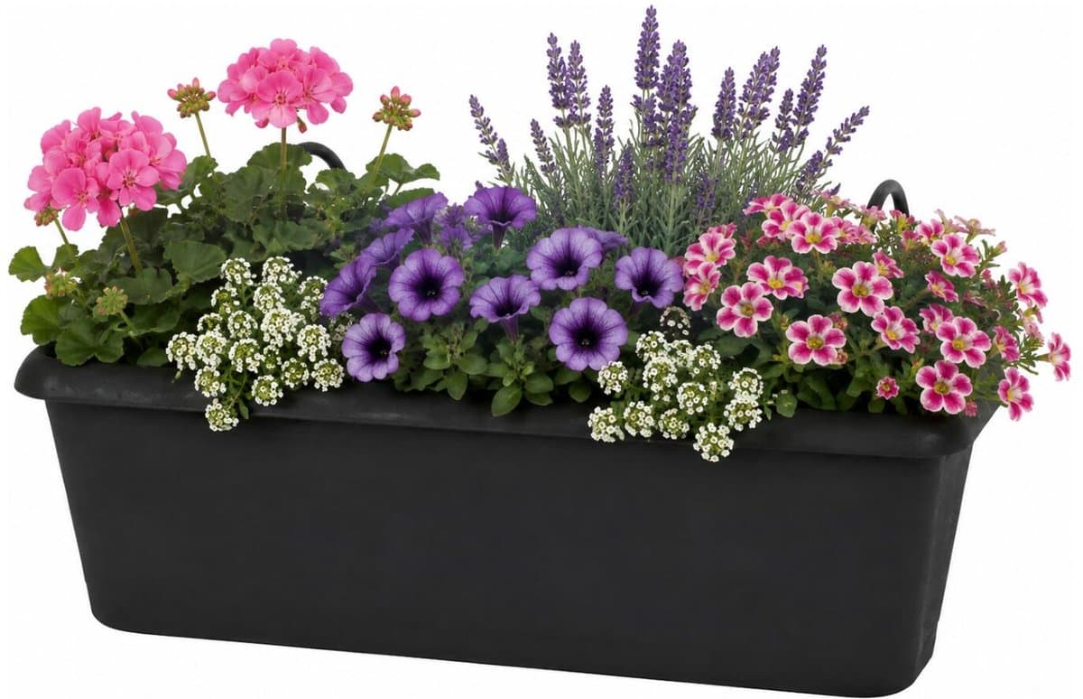 EDA Chorus balkon bloempot / plantenbak - kunststof - antraciet - 30 x 12 x 11 cm - met ophangbeugels