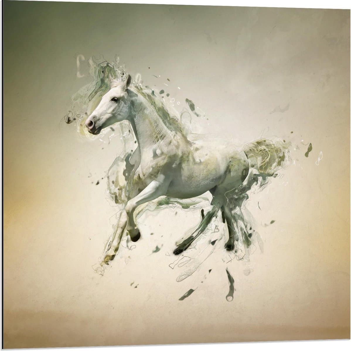 Dibond - Galopperend Paard met Lijntjes - 80x80cm Foto op Aluminium (Met Ophangsysteem)
