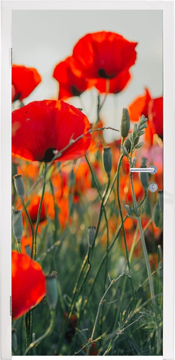 Deurposter 85x205 cm - Deursticker Klaproos - Bloemen - Rood - Paars - Weide - Meubelfolie zelfklevend - Deurfolie woonkamer - Interieurfolie fotobehang - Deur plakfolie - Deurstickers - Deurbehang sticker - Kamer decoratie
