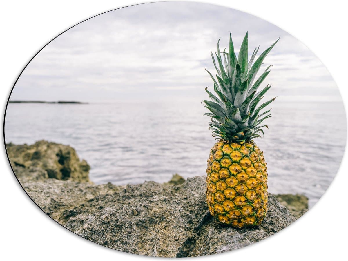 Dibond Ovaal - Ananas - Rotsen - Zee - Golven - 80x60 cm Foto op Ovaal (Met Ophangsysteem)