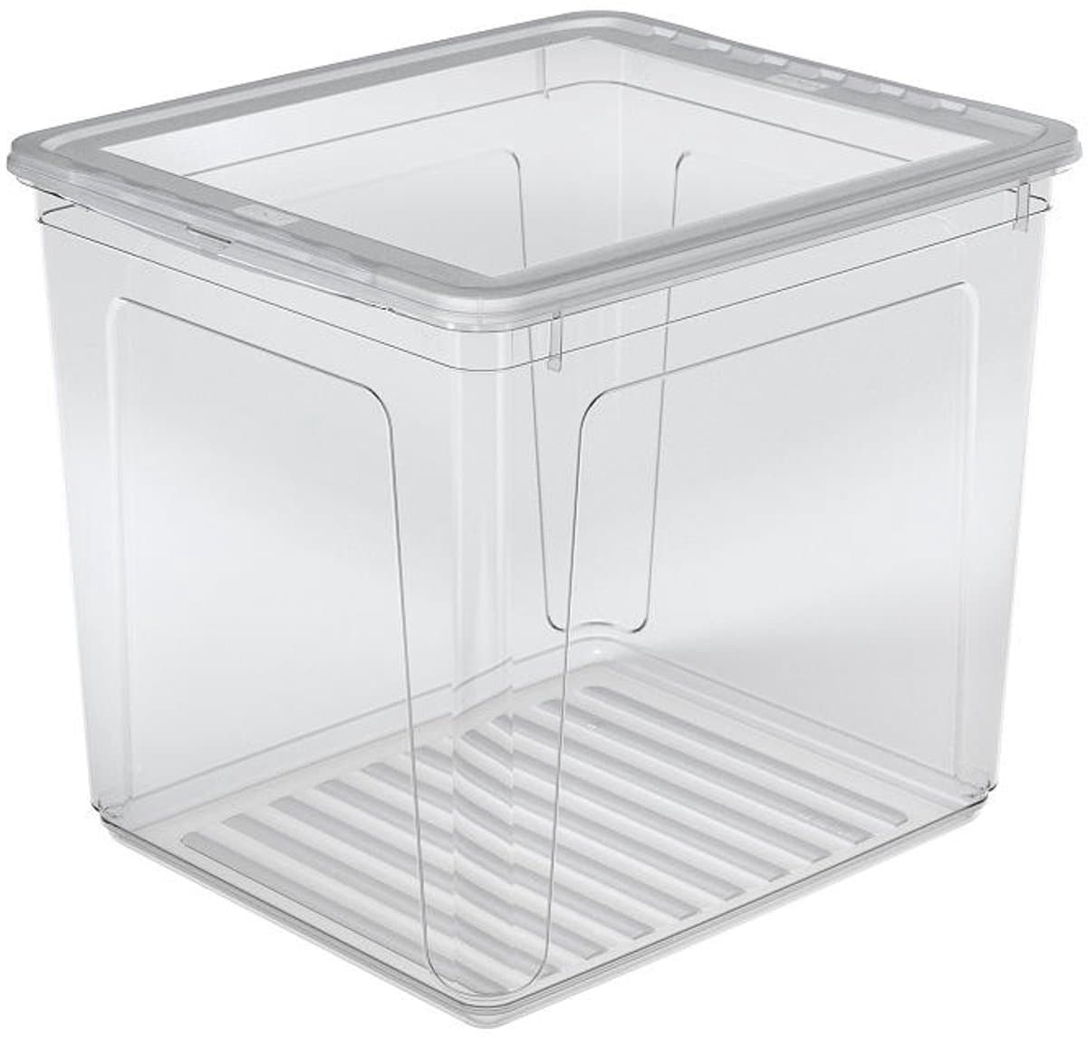 Clearbox Met Deksel 39x33x35 - 30 L Bea Transparant Keeeper 10580