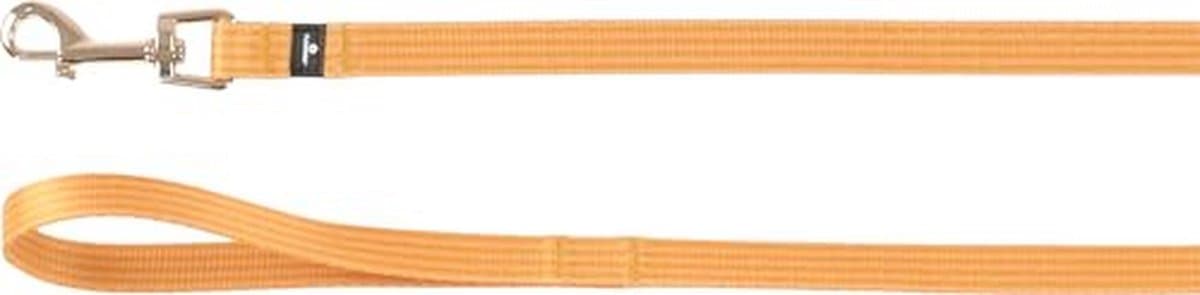 Geel hondenriem 120 cm 15 mm - duurzaam nylon met karabijnhaak