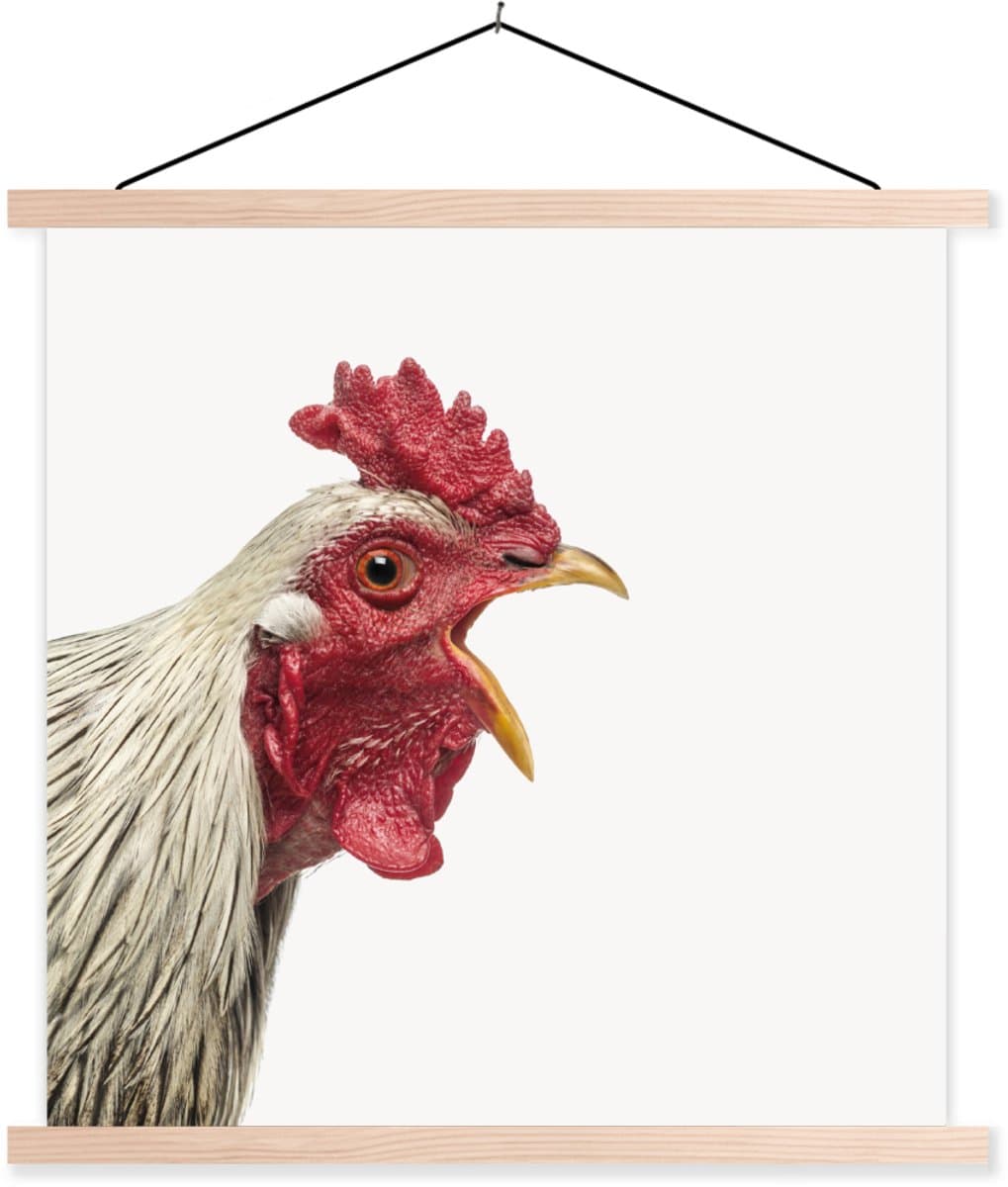 Schoolplaat kind - Kinderkamer decoratie - Haan - Dieren - Vogels - Boerderijdieren - 40x40 cm - Muurdecoratie - Schoolplaat dieren
