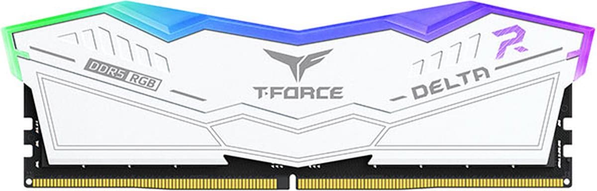 RAM geheugen Team Group Delta RGB DDR5
