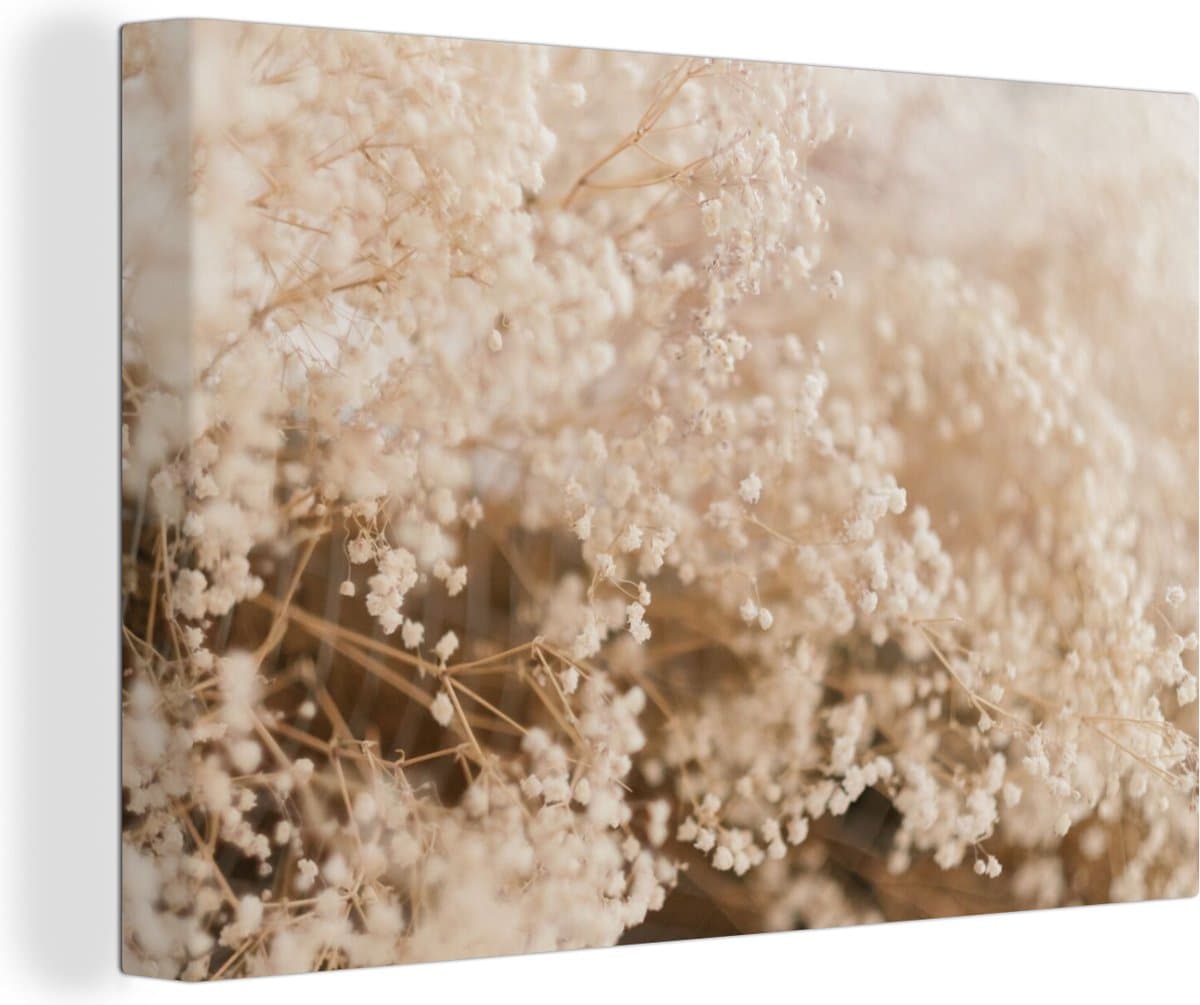 Canvas Schilderij Pampasgras - Plant - Natuur - 90x60 cm - Wanddecoratie