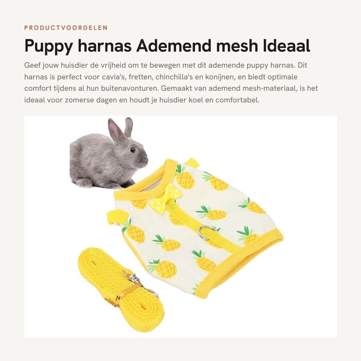 Dailygoods- Harnas Ademend - Harnas Konijn - Harnas Cavia - Harnas Fretten - Harnas Chinchilla - Flexibel Luchtgaas - Huisdier Tuigje
