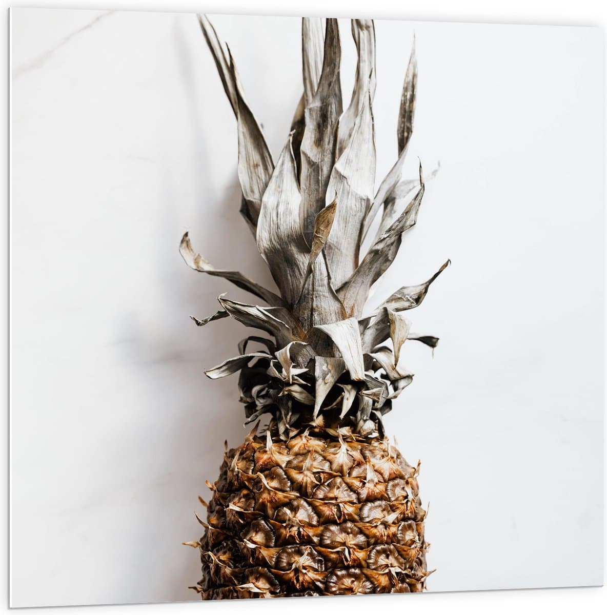 PVC Schuimplaat- Ananas op Witte Achtergrond - 100x100 cm Foto op PVC Schuimplaat
