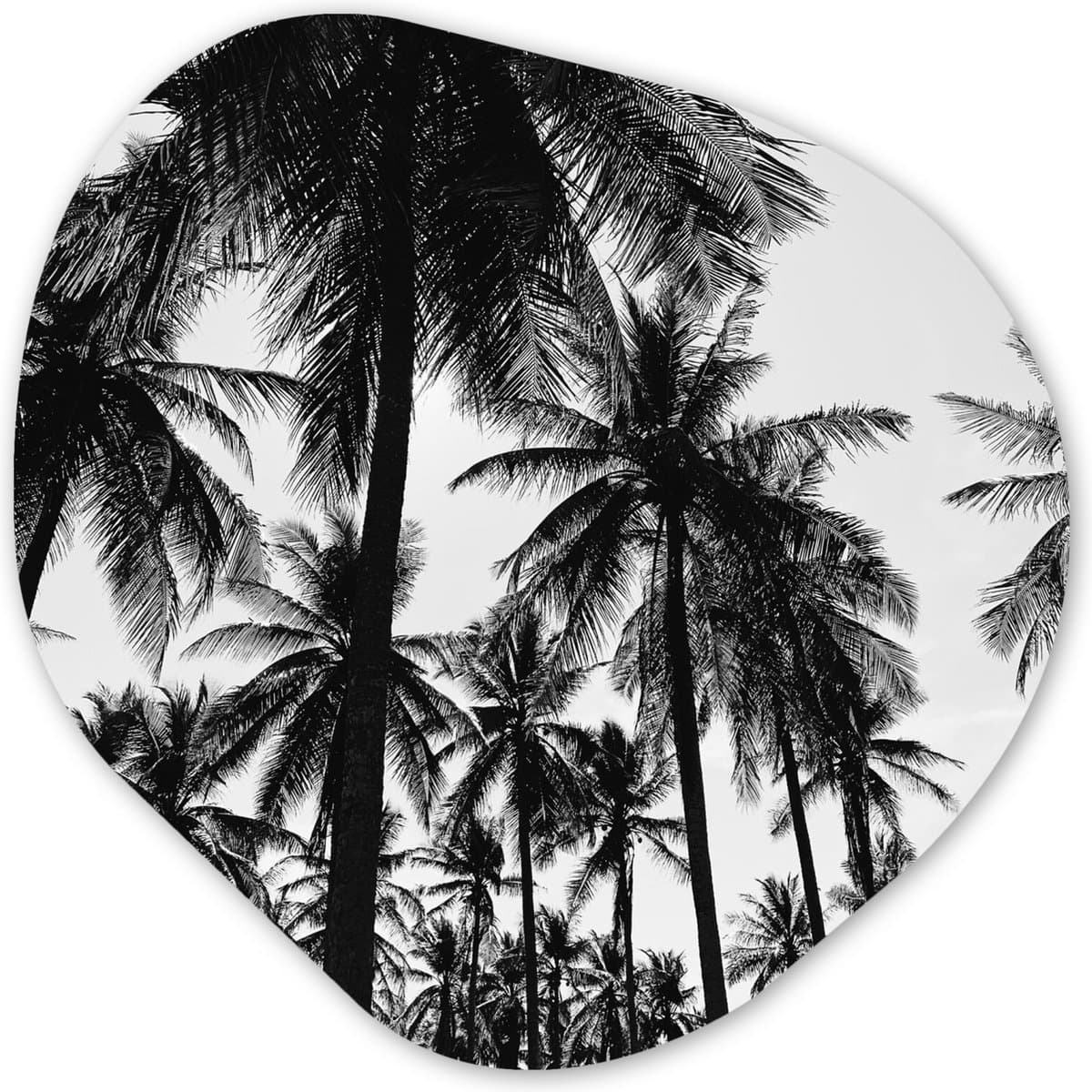 Organische wanddecoratie 60x60 cm - Organisch schilderij Palmbomen - Tropisch - Zomer - Muurdecoratie woonkamer - Kamer decoratie - Schilderijen - Muurcirkel aesthetic