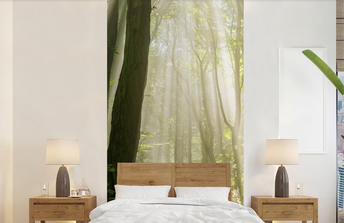 Behang - Fotobehang Bos - Licht - Natuur - Landschap - Breedte 120 cm x hoogte 240 cm