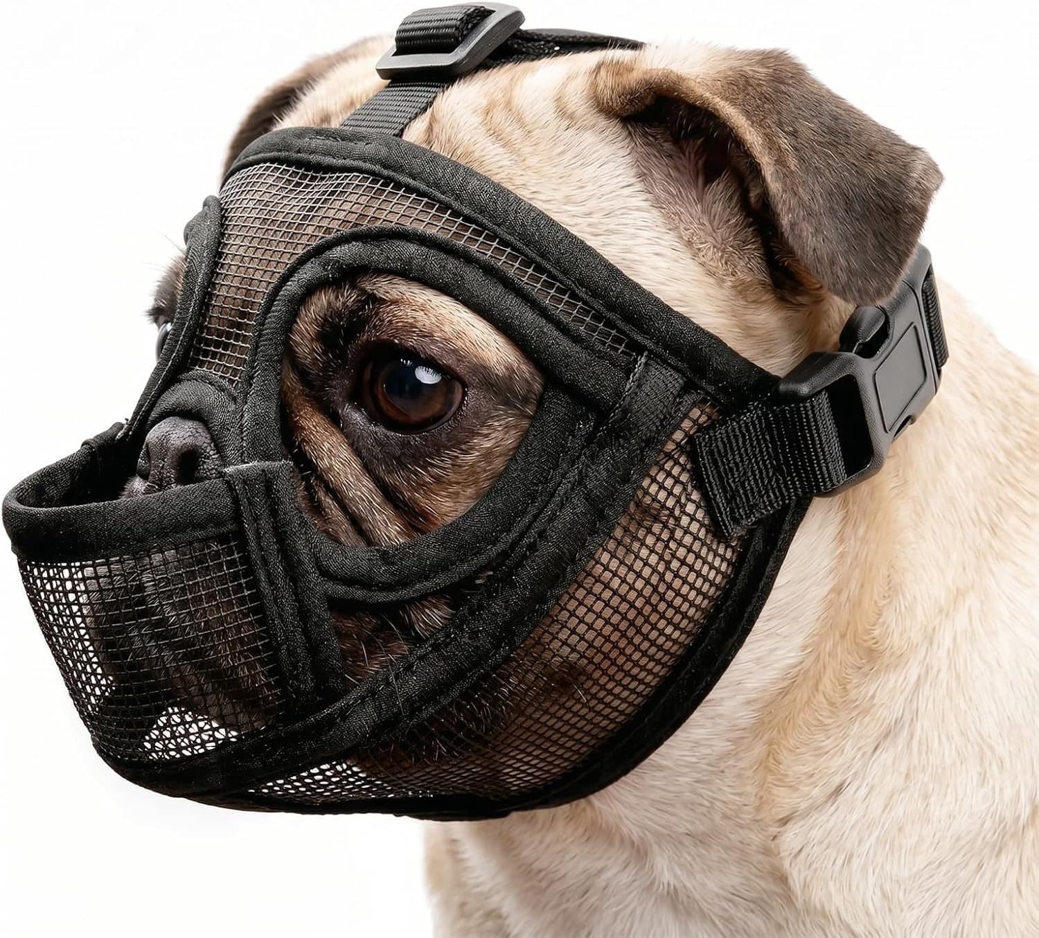 Franse Bulldog Muilkorf voor Kleine Honden - Bescherming tegen Bijten, Chewing en Blaffen - Verstelbare Ademende Mesh Muilkorf (Zwart)