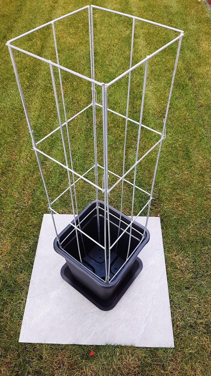 3 stuks plantenrek - klimplantenrek - Draadrek 1020 mm lang, vierkant met pot en waterschotel.
