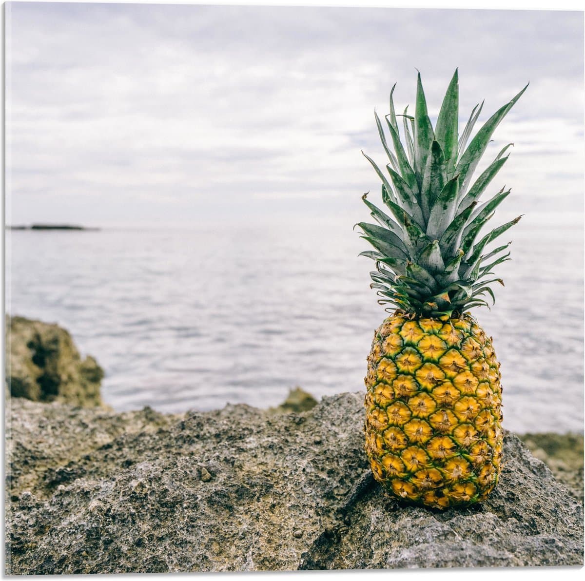 Acrylglas - Ananas - Rotsen - Zee - Golven - 50x50 cm Foto op Acrylglas (Wanddecoratie op Acrylaat)