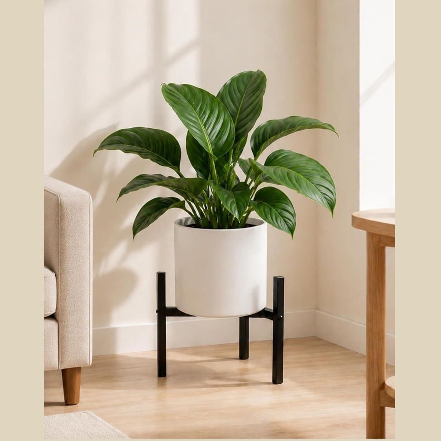 Zolvano® Plantentafel - Plantenstandaard voor Binnen - Plantenzuil - Zwart
