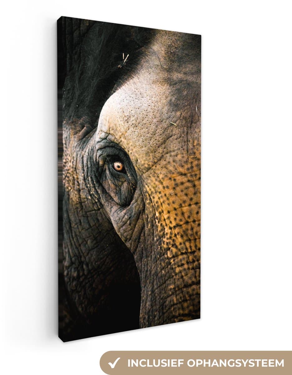 Canvas schilderij 20x40 cm - Wanddecoratie Olifant - Close up - Dieren - Natuur - Muurdecoratie woonkamer - Slaapkamer decoratie - Kamer accessoires - Schilderijen op canvas