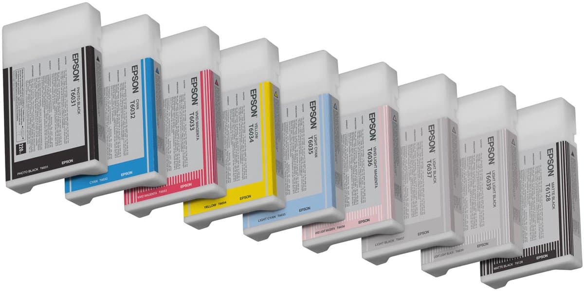 Epson T603900 - Inktcartridge / Licht Zwart