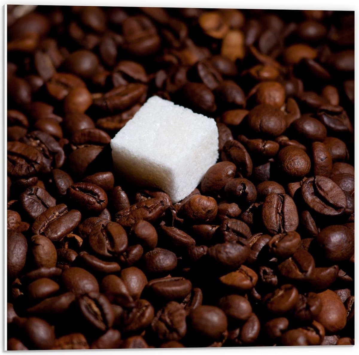 Forex - Suikerklontje op Stapel Koffiebonen - 50x50cm Foto op Forex