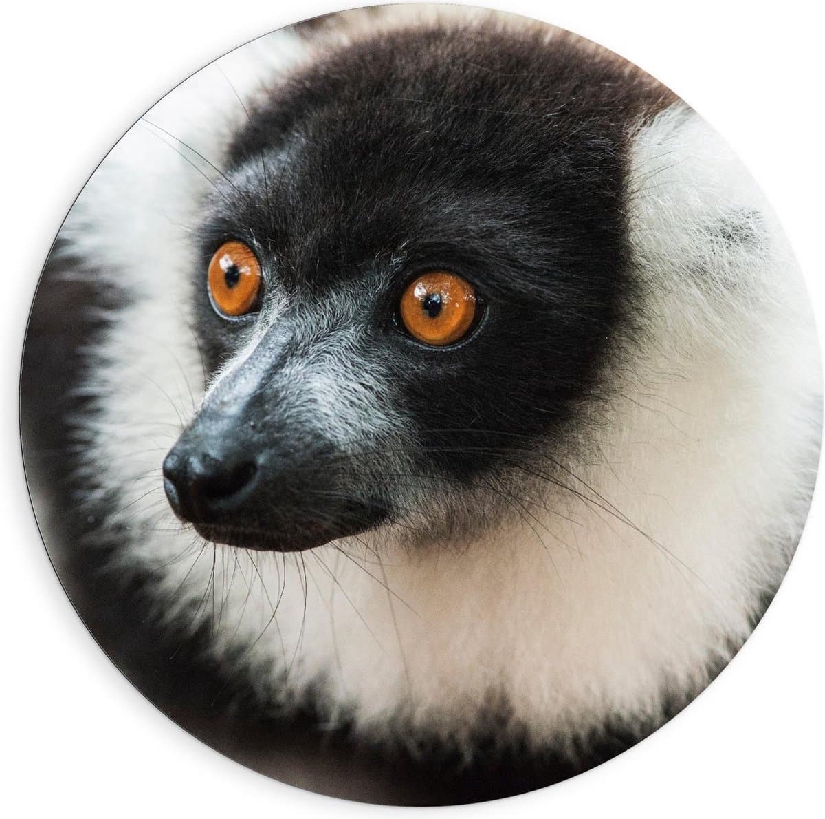 Dibond Wandcirkel - Indra - 90x90cm Foto op Aluminium Wandcirkel (met ophangsysteem)