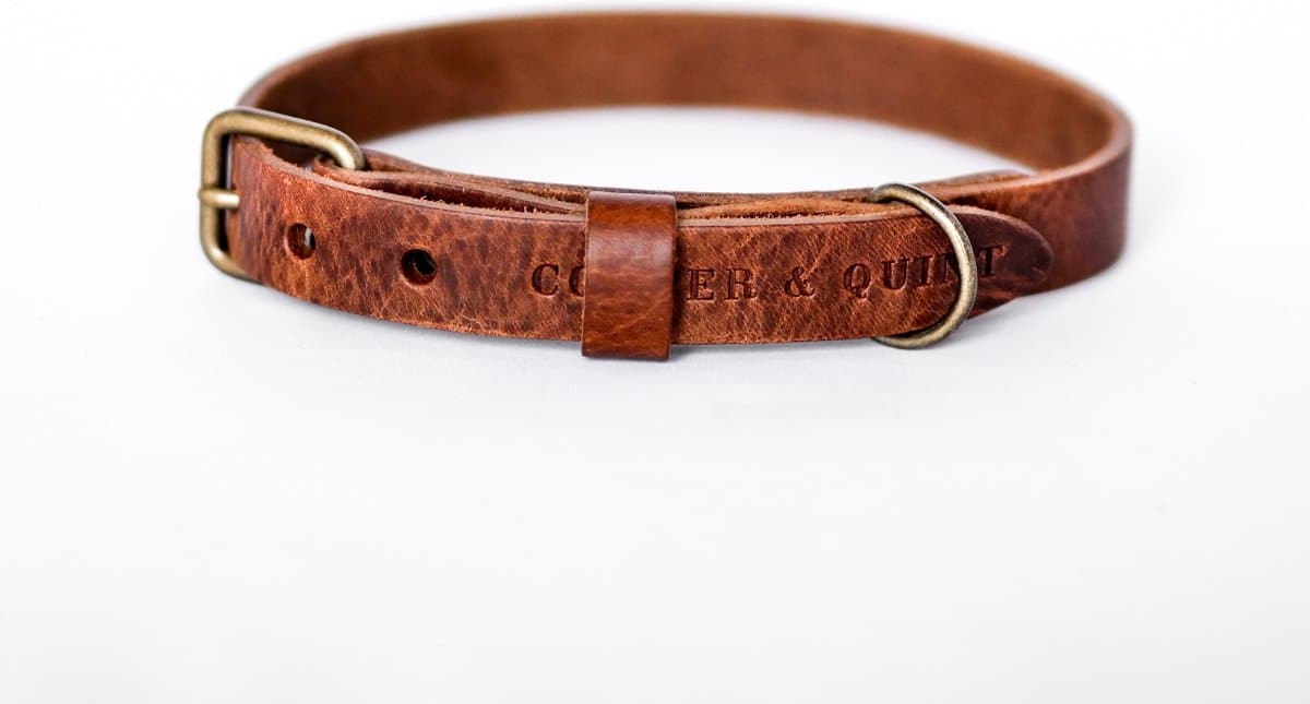 Cooper & Quint No Fuss - Halsband Hond - Leren Halsband Hond - Bruin - Oud messing - Large