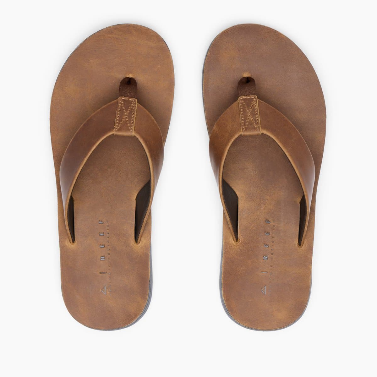 Reef OJAI CLASSIC DARK BROWN Heren Slippers - Donkerbruin