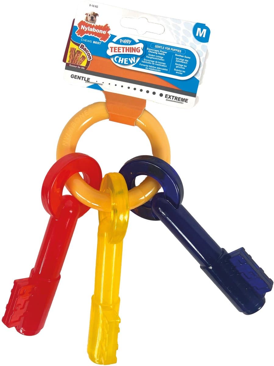 Nylabone Puppy Teething Key Flexible Geel&Blauw&Rood - Hondenspeelgoed - Wolf Tot 16kg