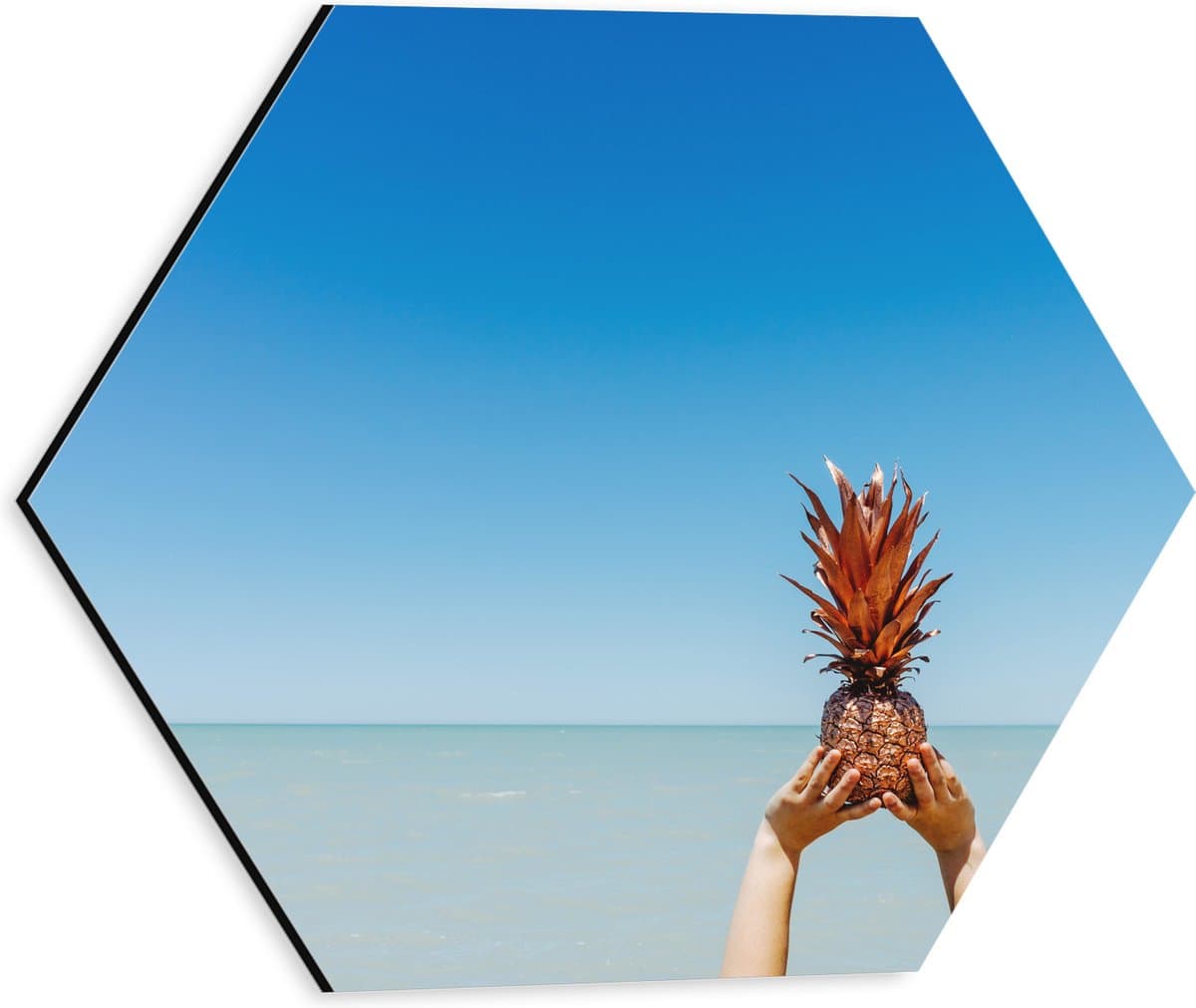 Dibond Hexagon - Ananas in Handen bij het Water - 30x26.1 cm Foto op Hexagon (Met Ophangsysteem)