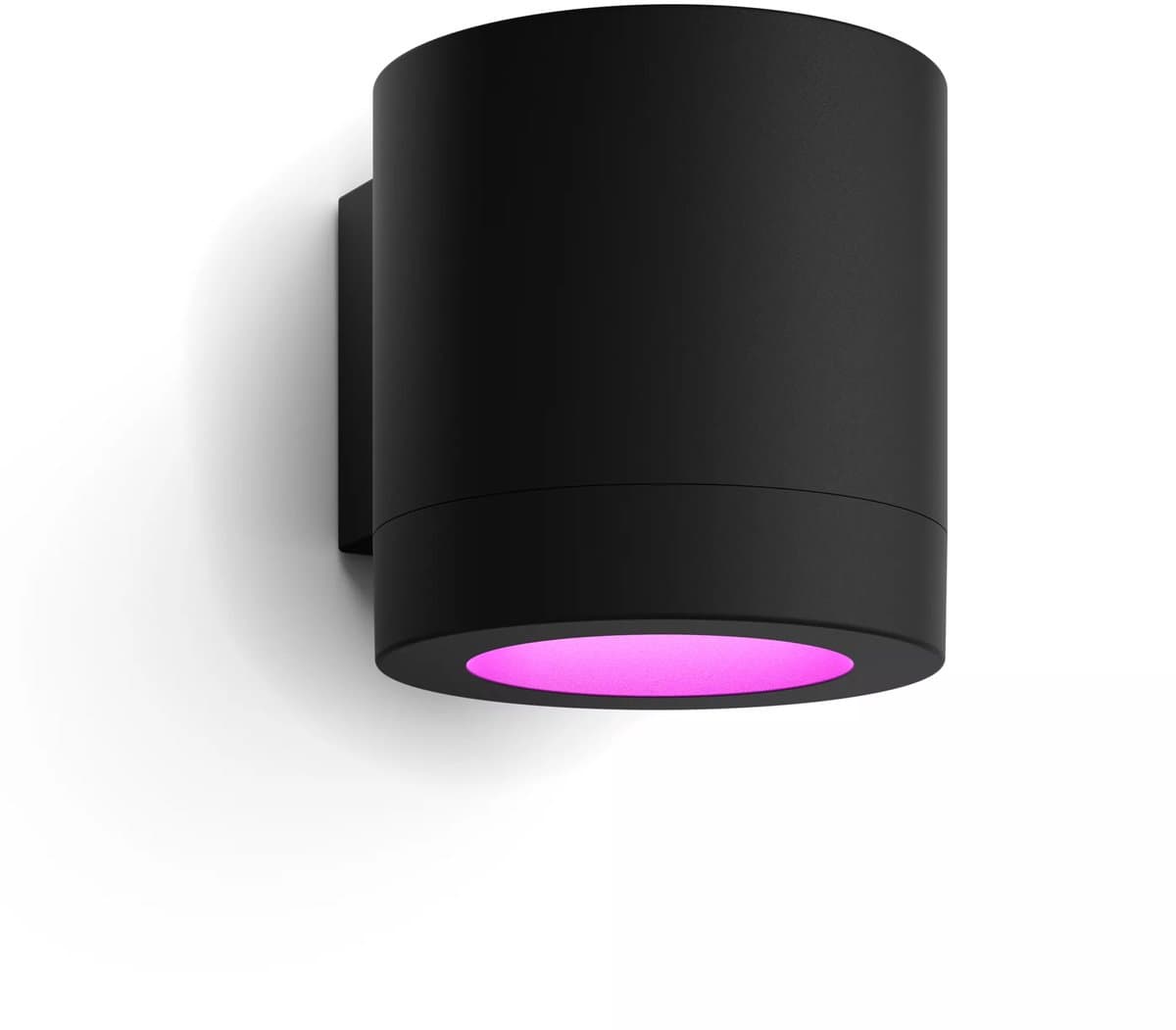 Philips Hue Muscari Muurspot Buiten