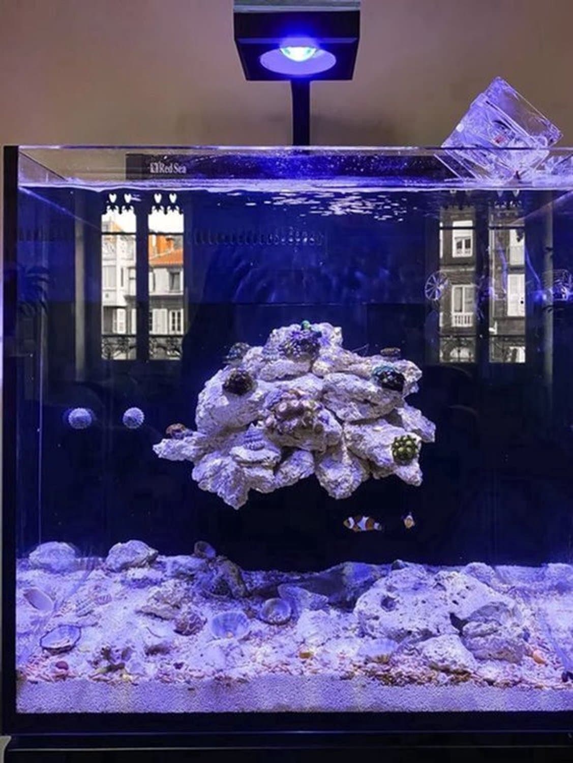 Aquariumverlichting Reef LED WiFi-Lamp - 100 W Vermogen - Clip-On Bevestiging - Voor Zeeaquarium SPS LPS