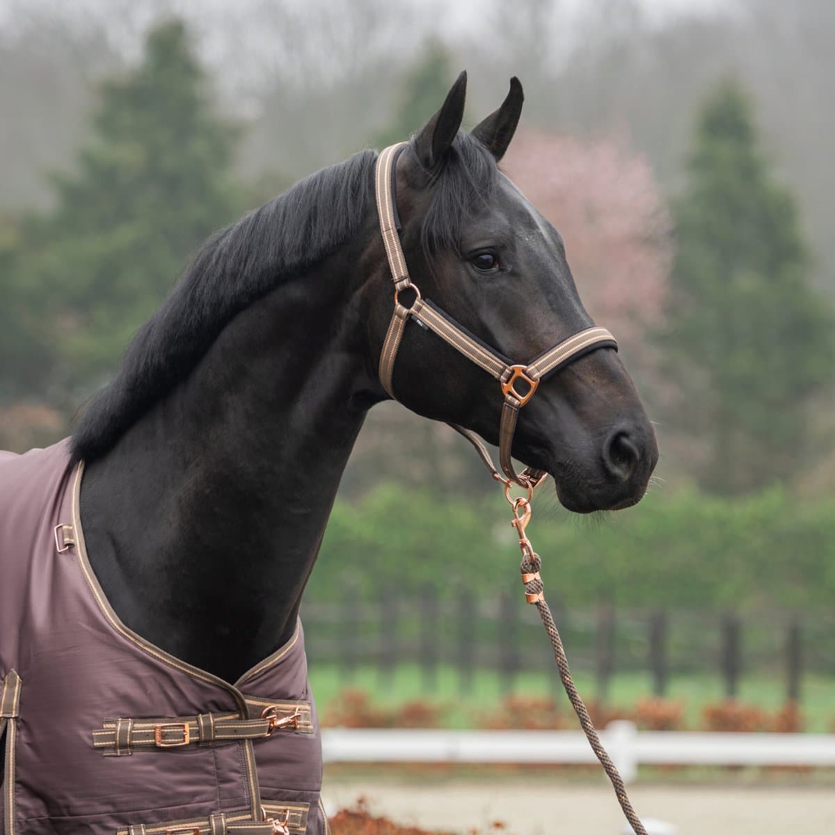 Horka Halsterset Deluxe Coffee/Rosegoud - Full