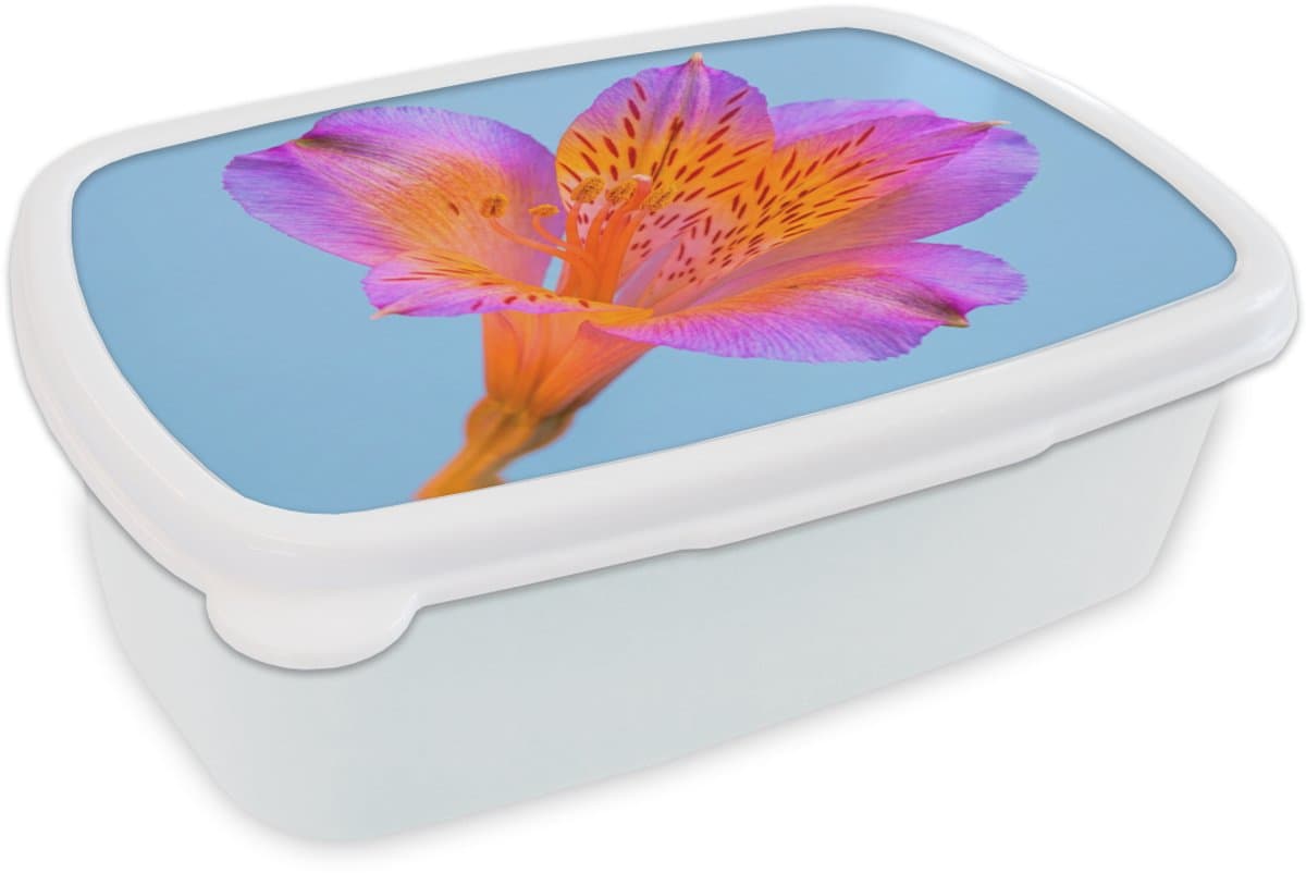 Broodtrommel Wit - Lunchbox Bloem - Detail - Kleurrijk - Brooddoos 18x12x6 cm - Brood lunch box - Broodtrommels voor kinderen en volwassenen