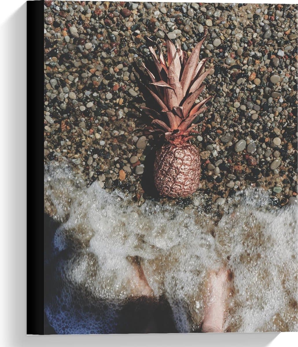 Canvas  - Gouden Ananas Spoelt aan - 30x40cm Foto op Canvas Schilderij (Wanddecoratie op Canvas)