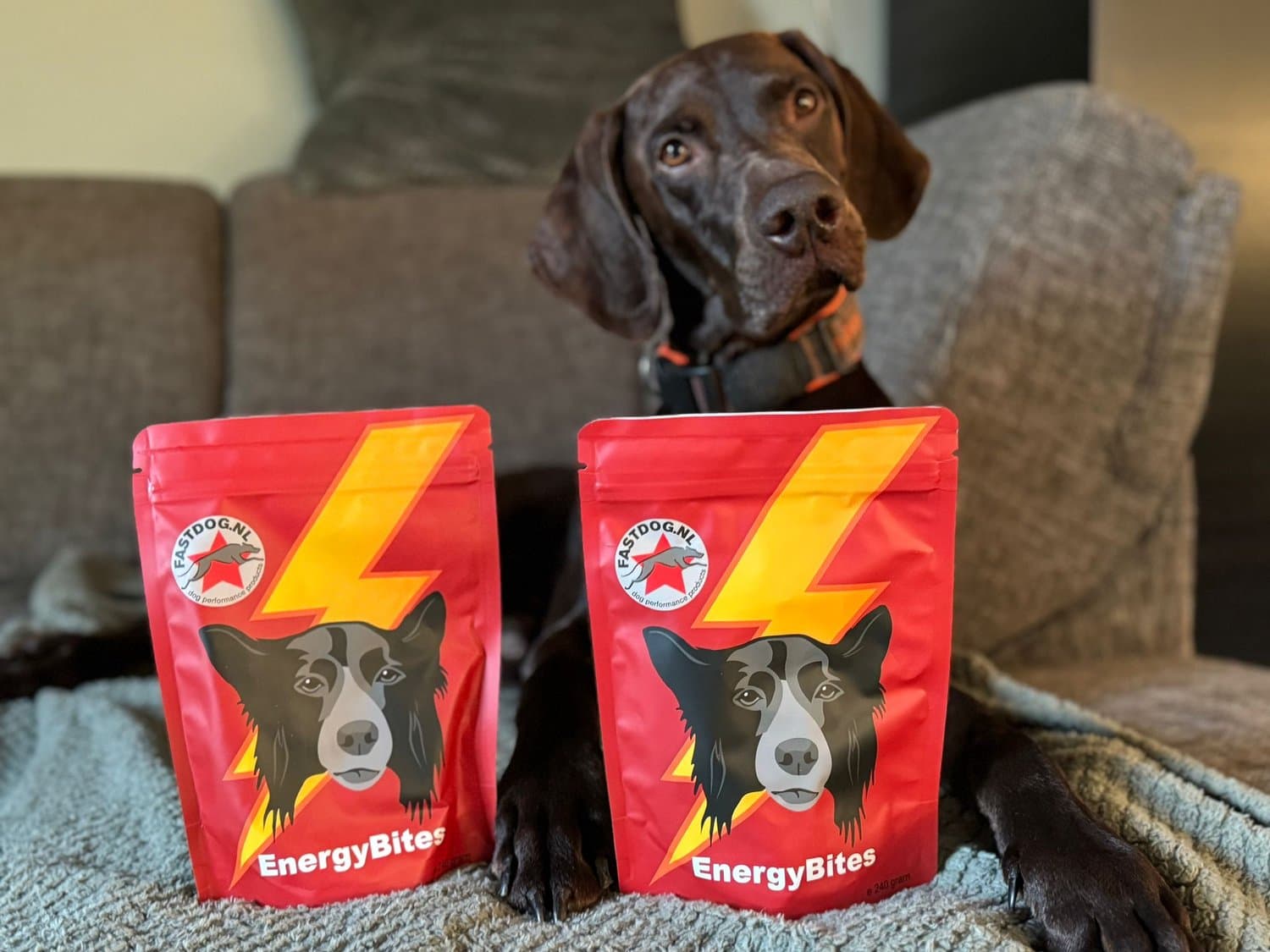 Fastdog EnergyBites