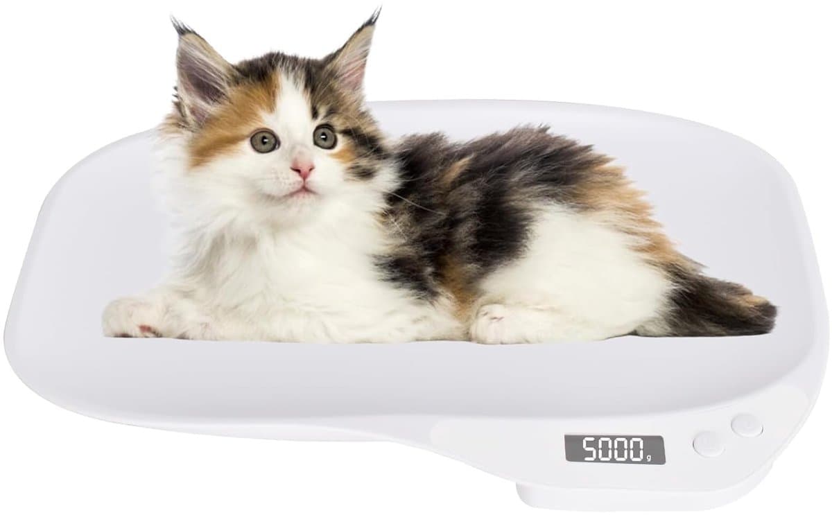 Digitale dier weegschaal - Kleine dieren weger - Gezondheid monitoren - Vier weegmodi - Tot 15 kg - Wit