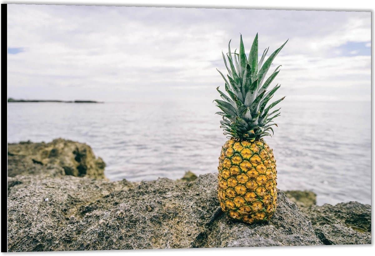 KuijsFotoprint - Schilderij - Ananas Een Rots Bij De Zee - Groen, Geel En Grijs - 30 X 40 Cm