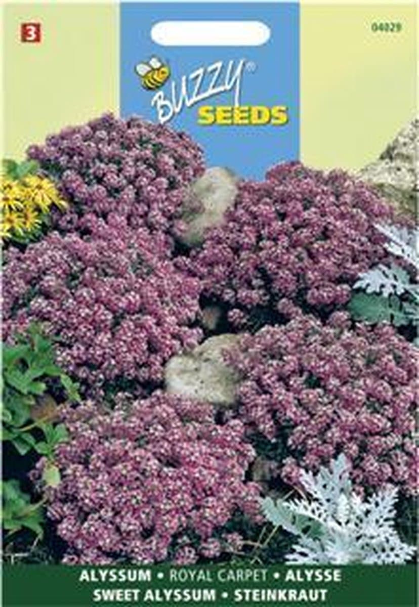 Sneeuwtapijt Royal Carpet - Alyssum maritima