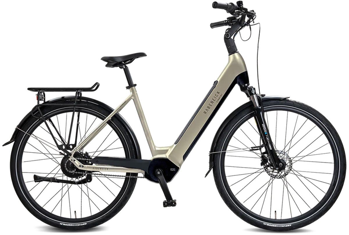 Rabeneick Comfort E-Bike Wave 51 champagnegoud
