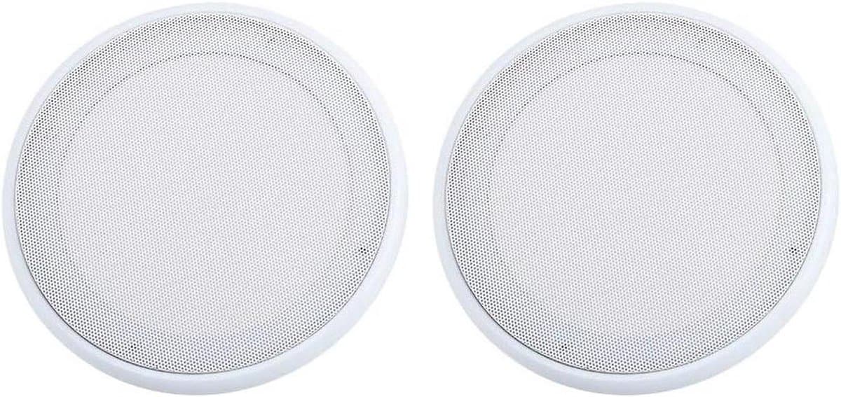 Luidsprekerroosters - Beschermhoezen Audio - Audio Beschermen - Duurzaam Metaal Gaas - 2 stuks 8 inch - Wit