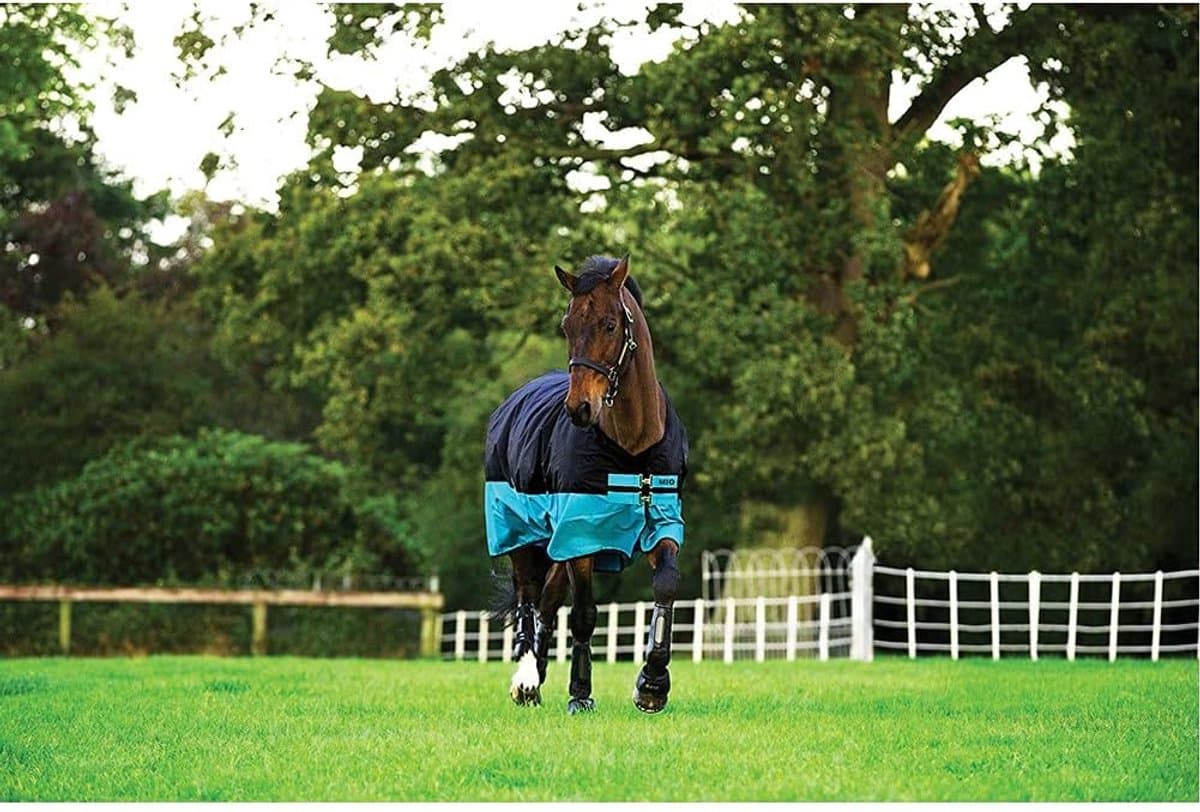 Paardendeken Outdoor - Regendeken Staldeken - Bescherming Paard - Lichtgewicht Ademend - 0.01g Vulling - Blauw