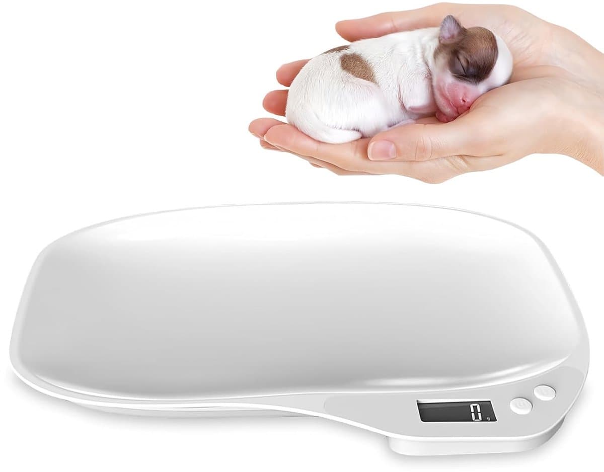 Digitale Huisdierweegschaal - Kleine Dieren Weegschaal - Gezondheid Monitoren - Hoge Nauwkeurigheid - 15 kg Capaciteit - Wit