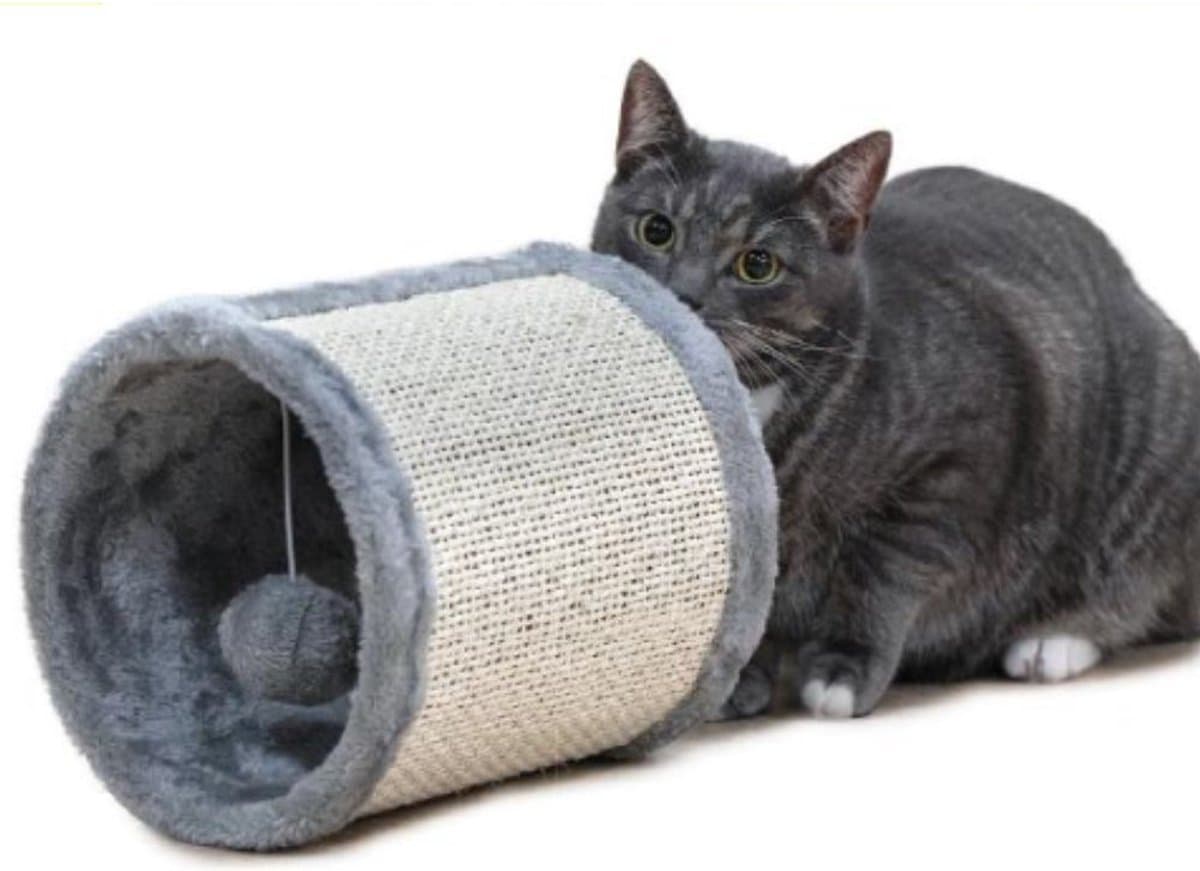 maxxpro krabpaal met kattentunnel - grijs