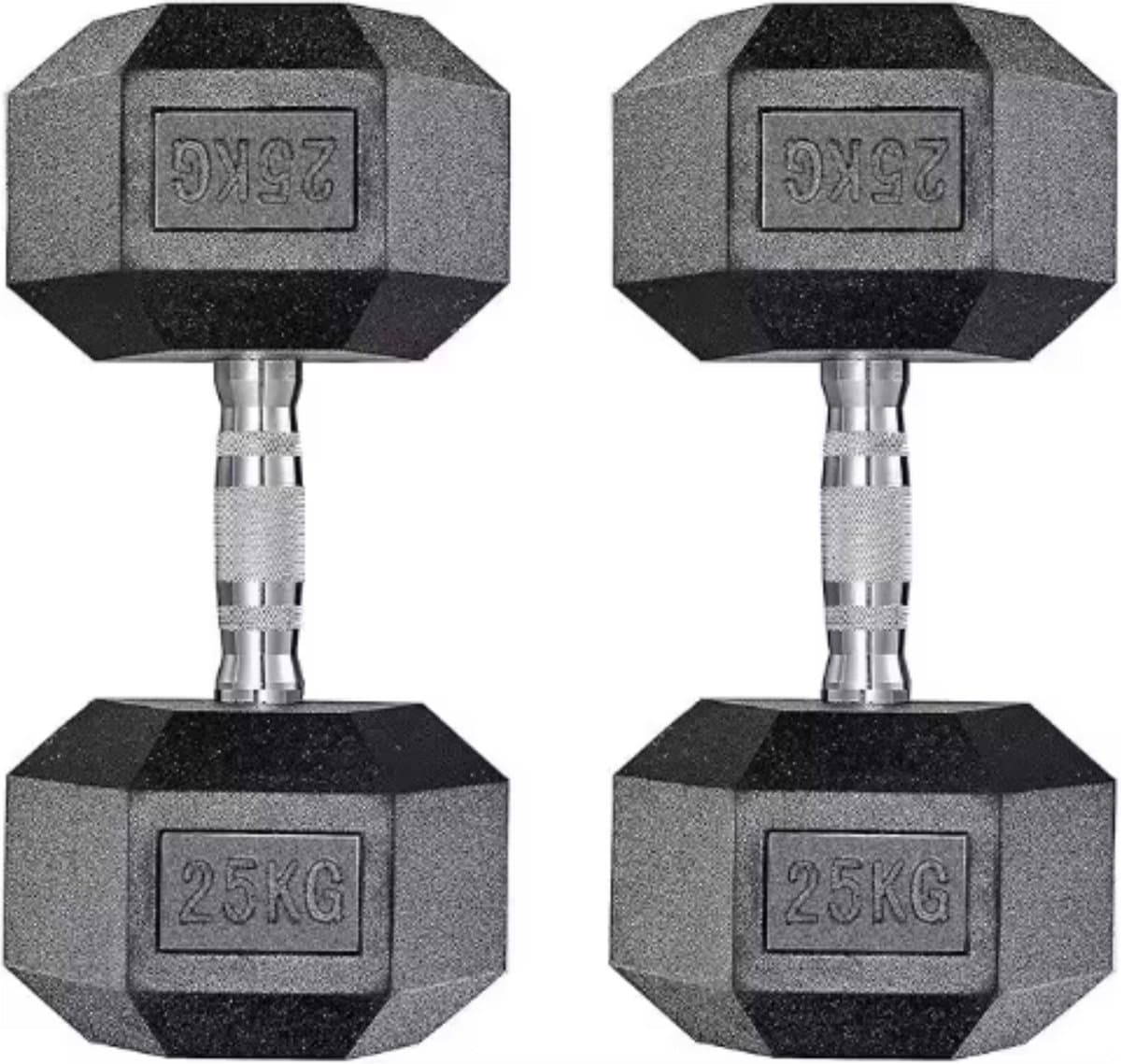 Halterset - Gewichten - Halters - Voor Krachttraining & Thuisfitness - Compacte Stalen Dumbbells van 25 kg - Set van 2