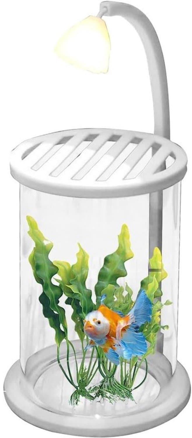 Bureaubaquarium - Visbak als tafelaccent - Decoratief object - Verlicht glas - 24.5 cm - Transparant