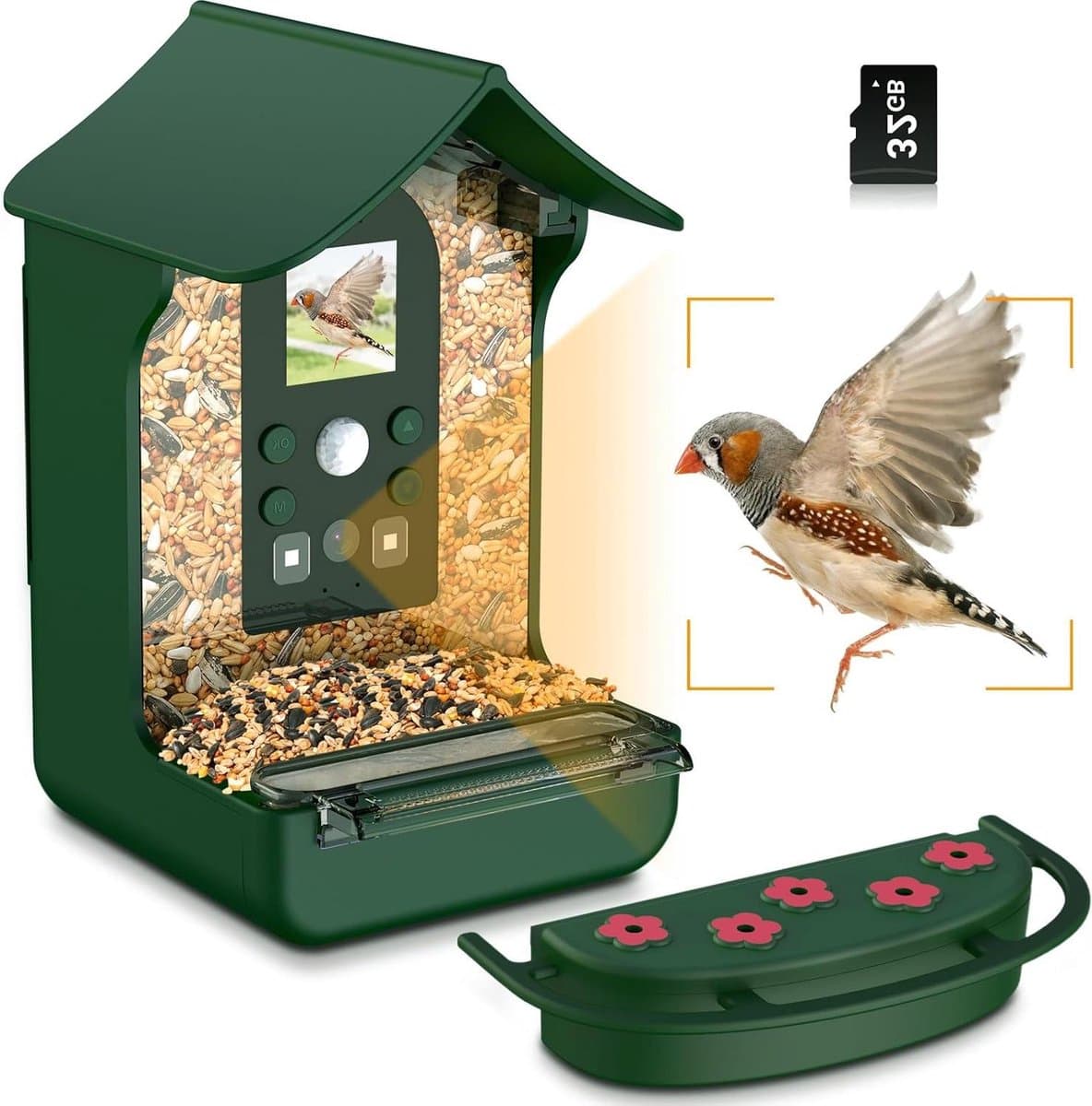 Vogelhuis met camera - Nestkast met voeder - Vogels observeren - 1080P HD Nachtzicht - 700 ml inhoud - Groen