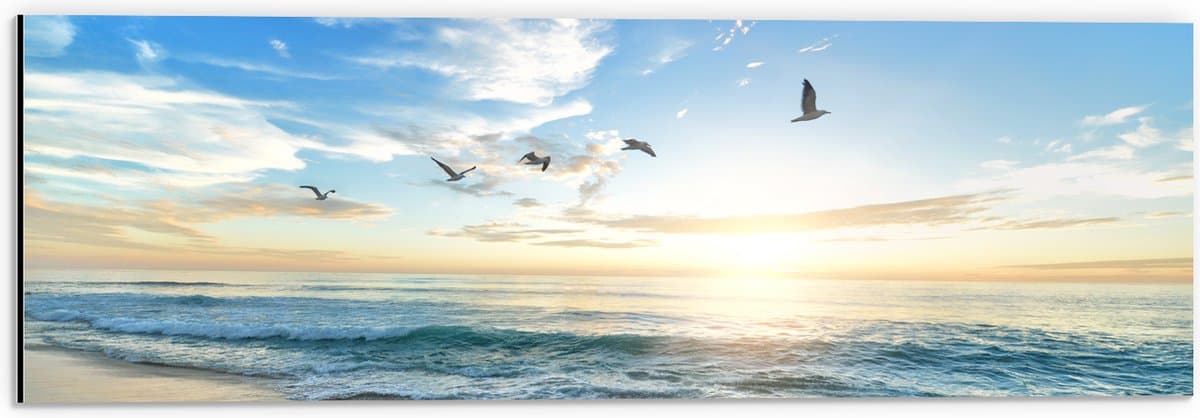 Dibond - Meeuwen boven het Strand en Zee - 60x20 cm Foto op Aluminium (Wanddecoratie van metaal)