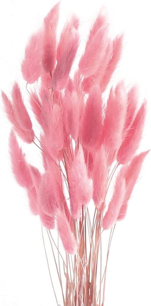 Natuurlijke Gedroogde Pampas Grassen, 50 Stuks, Boho Decoratie voor Vazen, Bruiloften en Interieuraccessoires, Vintage en Moderne Stijl