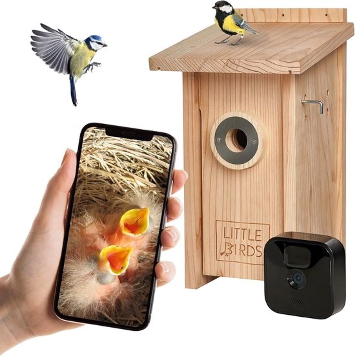 Vogelhuisje met camera - Nestkast - Om vogels te observeren - Hout met bescherming - Bodem van 13 × 13 cm - Blauw