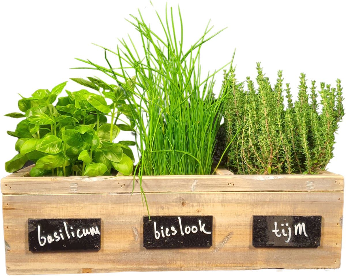 Houten Plantenbak voor kruidenplantjes 44 x 16 x 13 cm - Kruidenbak hout met 3 vakken - Kruidenrek - Kruidentuin