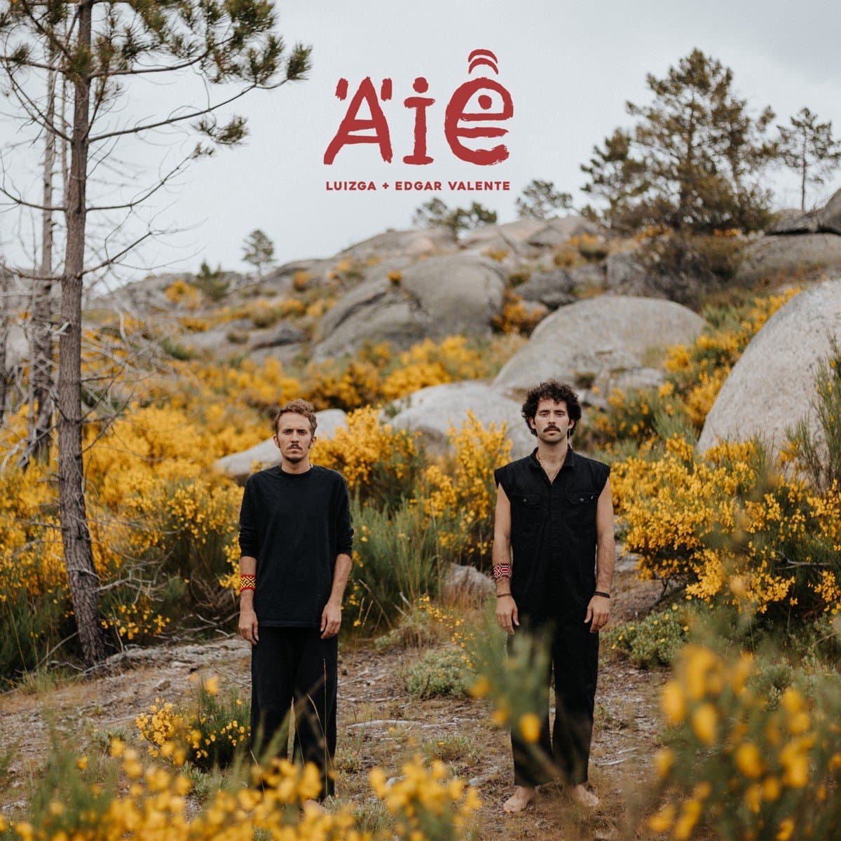 Luizga & Edgar Valente - Aias (LP)