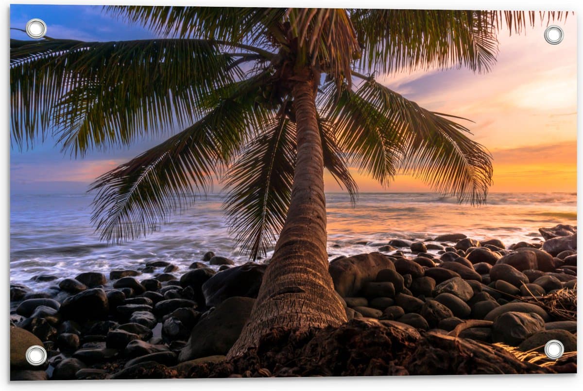 Tuinposter – Plamboom - Zee - Zonsondergang - Stenen - 60x40 cm Foto op Tuinposter (wanddecoratie voor buiten en binnen)