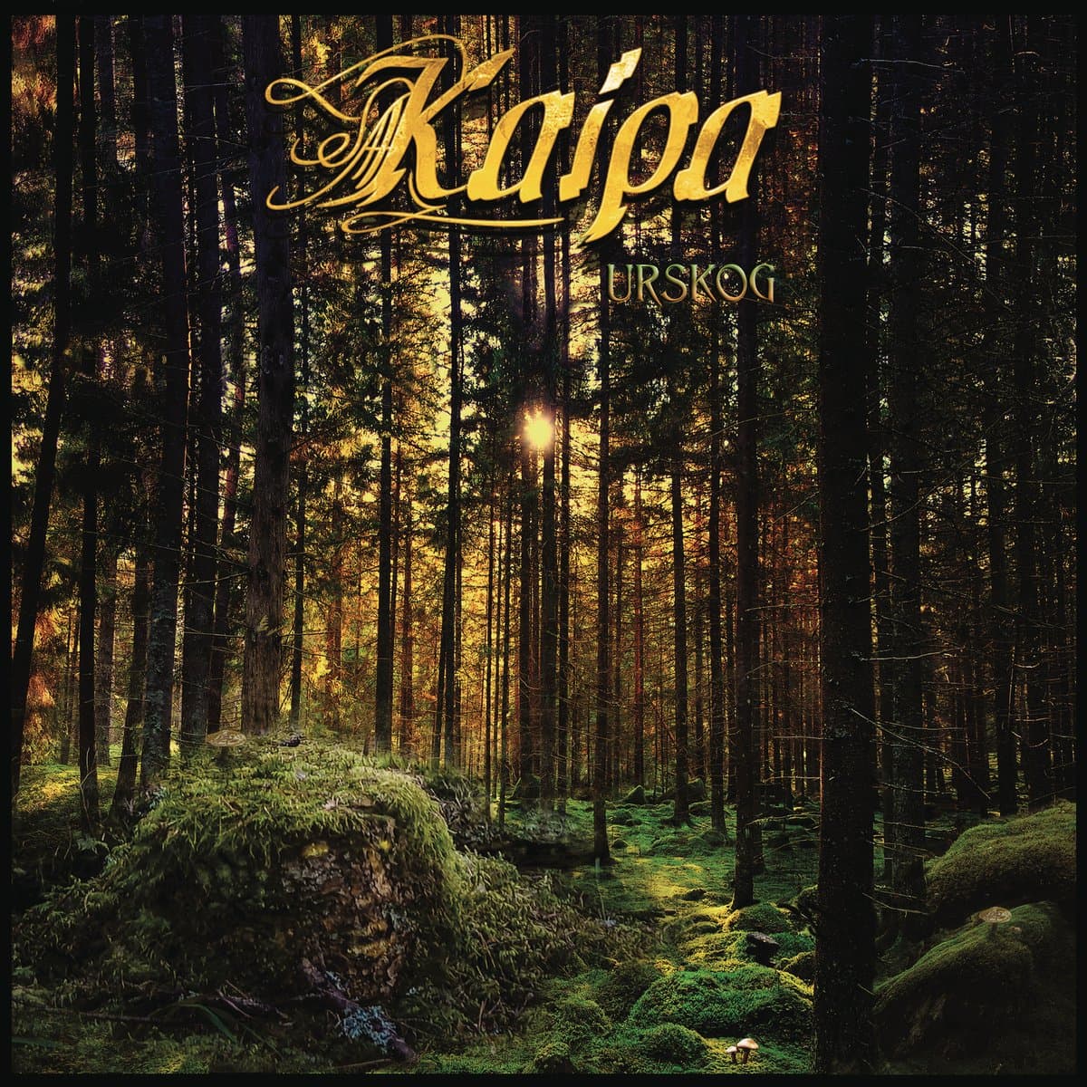 Urskog (CD)