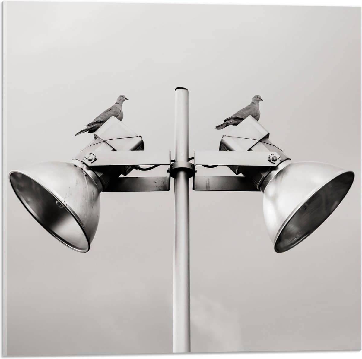 Acrylglas - Grote Speakers op Paal - 50x50 cm Foto op Acrylglas (Met Ophangsysteem)